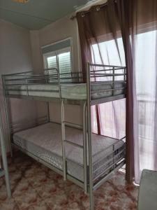 two bunk beds in a room with a window at Tenerife Hostel in Los Cristianos