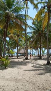 a person walking on a beach with palm trees at Cabanas Las Estrellas in Palomino