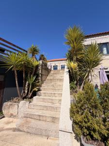a set of stairs leading to a house with palm trees at Living Viana do Castelo in Viana do Castelo