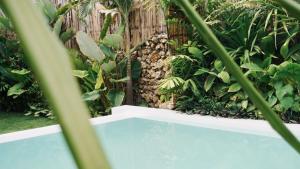 a pool in a garden with plants and a fence at Cala Tuason Villas in General Luna +9 photos