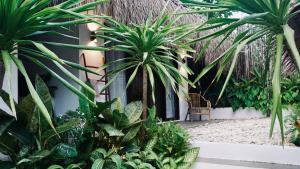 a courtyard with palm trees and a chair at Cala Tuason Villas in General Luna