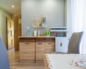 a small kitchen with a counter and a refrigerator at Agroturystyka Pod Lasem na Roztoczu in Sochy
