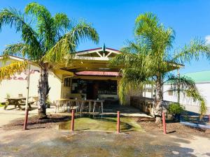 a building with two palm trees in front of it at Coonalpyn Hotel in Coonalpyn