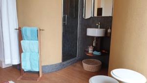 a bathroom with a shower with blue towels and a toilet at Bed & Breakfast Exterlaer in Antwerp +34 photos