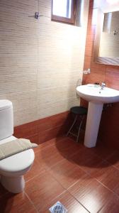a bathroom with a toilet and a sink at Giagia Evgenia in Vitsa +40 photos