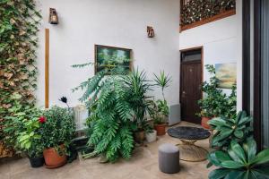 a room filled with lots of plants at Old Yerevan by IGIT in Yerevan