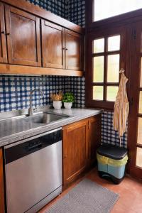 a kitchen with a sink and a dishwasher at Villa Elettra in Pisa