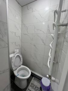 a bathroom with a white toilet in a stall at Apartaments Briceni city in Briceni