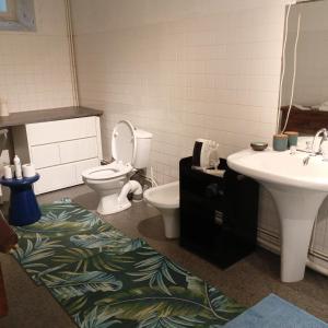 a bathroom with a toilet and a sink at LE MASSITROU - chambre d'hôte - Table d'hôte in Nedde