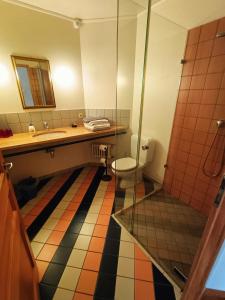 a bathroom with a toilet and a sink and a mirror at Entre Loue et Lison in Amondans +28 photos