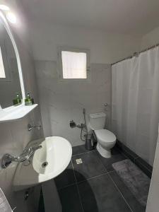 a bathroom with a white sink and a toilet at Apartamentos Plaza Minas in Minas