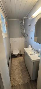 a bathroom with a toilet and a sink and a mirror at Arctic House Kemi 7 GUEST, outdoor tentsauna Experience in Kemi +14 photos