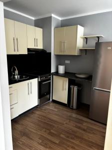 a kitchen with white cabinets and stainless steel appliances at Apartmán u Hradu 2 in Cheb +3 photos