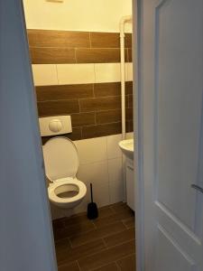 a bathroom with a toilet and a sink at Apartmán u Hradu 2 in Cheb