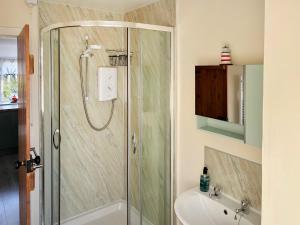 a bathroom with a shower and a toilet and a sink at Craigrannoch Cottage in Rockcliffe