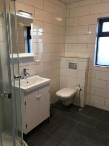a bathroom with a toilet and a sink and a mirror at Fell Holiday Home in Stapi