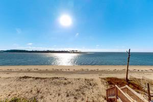a sandy beach with a tree and the ocean at Halsell's Hideaway in Indian Pass