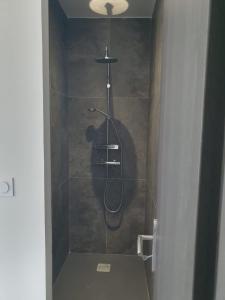 a shower with a hose in a bathroom with a toilet at Villa Cocooning, Piscine privative à Figari in Figari +22 photos