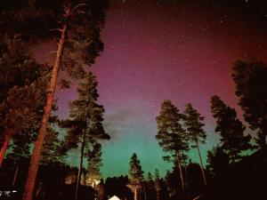 a starry night with a group of trees and the milky way at Chalet Vradal in Vradal