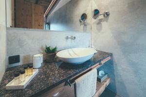 a bathroom with a bowl sink on a counter at Chalets Resort in Cínovec +107 photos