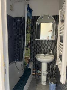 a bathroom with a sink and a shower and a mirror at Apartment with stunning mountain views in Barcelonnette