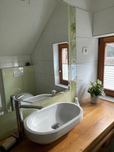 a bathroom with a sink and a mirror at Zbilje Lake house in Medvode +12 photos