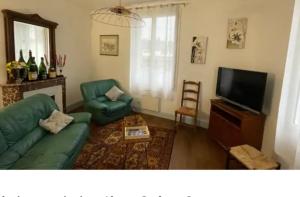 a living room with a green couch and a television at Maison des chateaux in Bléré