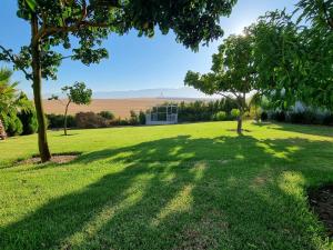 a field with trees and a building in the distance at Excelsior Country House in Porterville