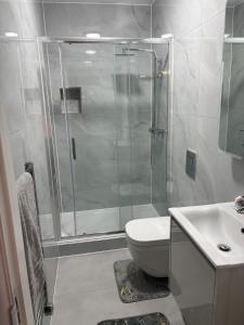 a bathroom with a shower and a toilet and a sink at Petite Apartment in Denham in Denham