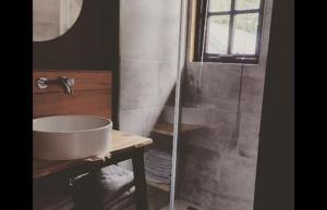łazienka z umywalką i prysznicem w obiekcie Tiny house Weerdinge w mieście Emmen +9 zdjęć