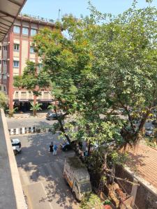 a tree in front of a street with a building at Hotel Regal Gate in Mumbai