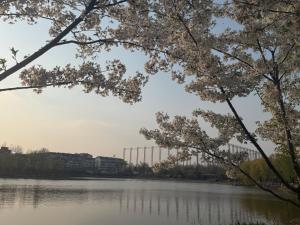 a view of a river with trees in the foreground at Private room on the 6th floor in Beijing