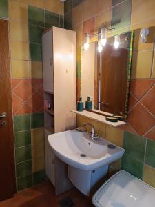 a bathroom with a sink and a toilet and a mirror at Apartman Novak in Samobor