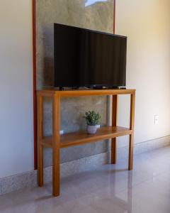 a television on a wooden stand with a potted plant at Chalé Estalagem Sítio Sossego in Domingos Martins