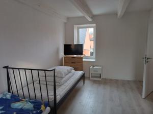 a bedroom with a bed and a tv on a dresser at Apartmány MARTIN SARVAŠ in Tachov