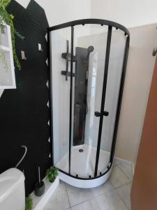 a glass shower in a bathroom next to a toilet at chambre d 'hôtes les Orchidées in Perpignan