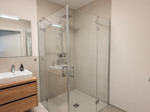 a bathroom with a shower and a sink at Ferienwohnung Gartenidyll am Dümmer See in Lembruch