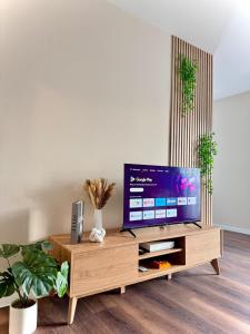 a living room with a television on a wooden entertainment center at Pearly EuroPoint in Saint-Louis