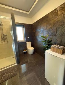 a bathroom with a shower and a toilet and a sink at Biebrzańska Dolina 1 in Goniadz +36 photos