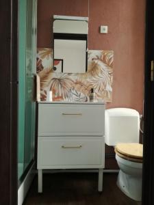 a bathroom with a white dresser and a mirror at Les Camélias in Le Mont-Dore +62 photos