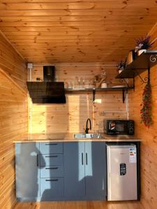 a kitchen with a sink and a refrigerator at Hill House Merisi in Merisi