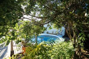 a pool in the middle of a garden with trees at Tofo Beach Gardens in Inhambane