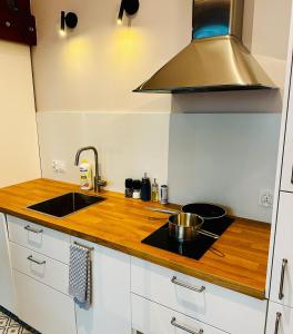a kitchen with a sink and a stove top oven at Refugium Lodziense II - Quiet luxury in the center of Lodz in Łódź