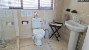 a bathroom with a toilet and a sink at King's Hill Guest House in Hilton +24 photos