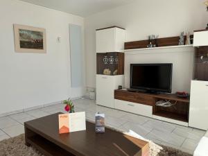 a living room with a tv and a coffee table at Molino Vecchio in Ronco sopra Ascona