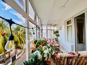 a porch with a bunch of plants and windows at Fibonacci Beachfront Apartment in Flic-en-Flac