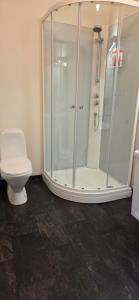 a bathroom with a shower and a toilet at Solbakken 27 Apartment in Lyngseidet