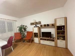 a living room with a tv and a entertainment center at Camping La Ozan in Petreştii de Jos