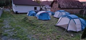 a group of tents in a yard next to a building at Camping La Ozan in Petreştii de Jos
