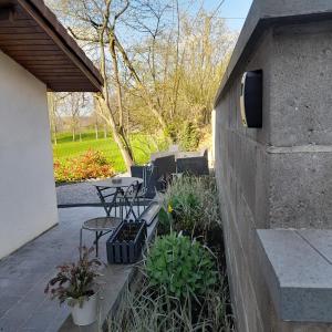 a patio with a table and chairs and plants at Studio Ittre in Ittre +4 photos